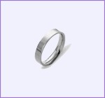 Silver Wedding Band